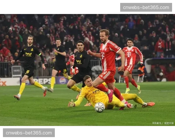 弗赖堡vs海登海姆：主队冲击欧战，客队为保级而战